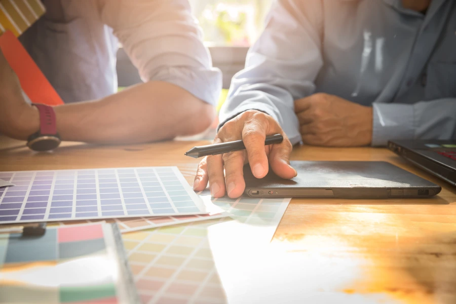 Professional Visual Artist